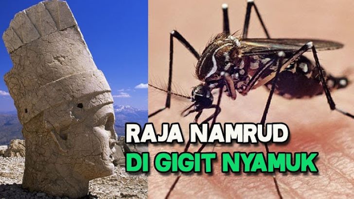 Logika Penciptaan Nyamuk, Antara yang Beriman dan Ingkar