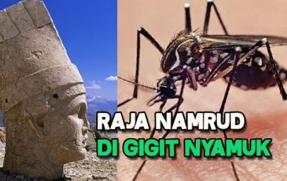 Logika Penciptaan Nyamuk, Antara yang Beriman dan Ingkar